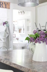 Celebrate Summer Home Tour | Rooms FOR Rent Blog-3373