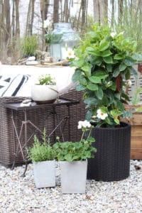Patio Makeover | Rooms FOR Rent Blog