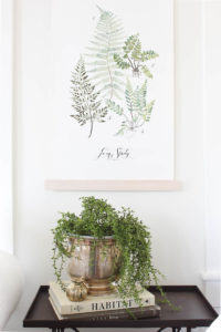 Decorating with Flowers | Rooms FOR Rent Blog