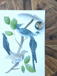 Feather & Fawn by Vol. 25 | Rooms FOR Rent Blog