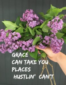 Comparison | Rooms FOR Rent Blog