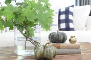 Fall Living Room Decor | Rooms FOR Rent Blog