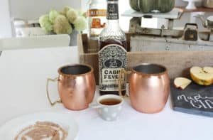 Fall Cider Cocktail Recipe | Rooms FOR Rent Blog