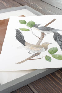 Fall Vignette, 10 Minute Decorating | Rooms FOR Rent Blog