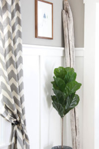 Home Decor Trends | Rooms FOR Rent Blog