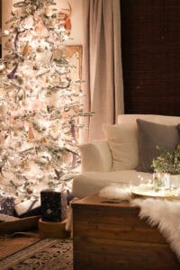 Christmas Night Tour | Rooms FOR Rent Blog
