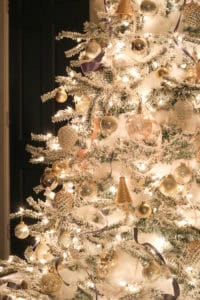 Christmas Night Tour | Rooms FOR Rent Blog