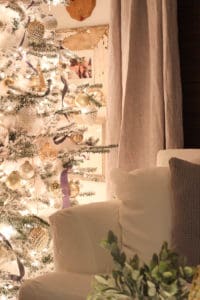 Christmas Night Tour | Rooms FOR Rent Blog