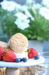 Patriotic Summer Dessert | Rooms FOR Rent Blog