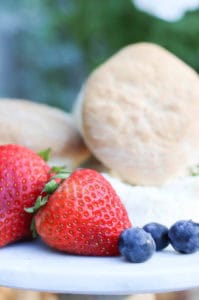 Patriotic Summer Dessert | Rooms FOR Rent Blog