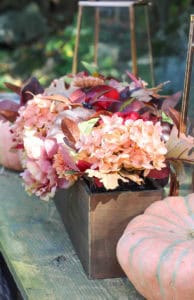 Balsam Hill Splendor of Autumn | Rooms FOR Rent Blog