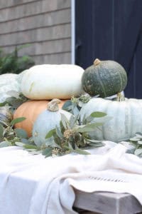 Fall Patio | Seasons of Home | Rooms FOR Rent Blog