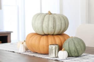 Simple Fall Centerpiece | Rooms FOR Rent Blog
