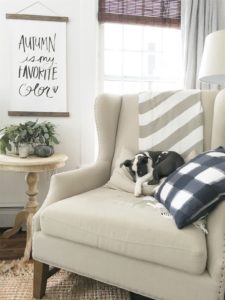 We Got a Puppy | Rooms FOR Rent Blog