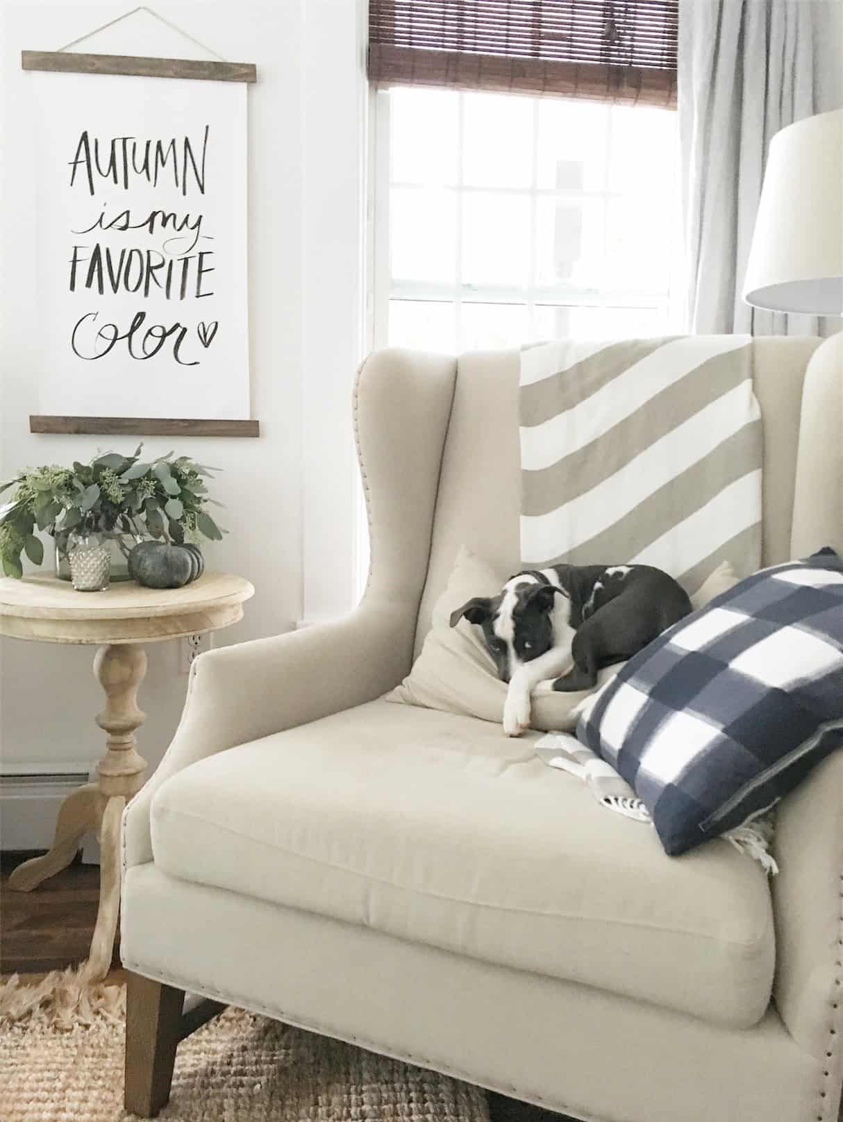 We Got a Puppy | Rooms FOR Rent Blog