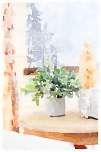 Happy New Year | Rooms FOR Rent Blog