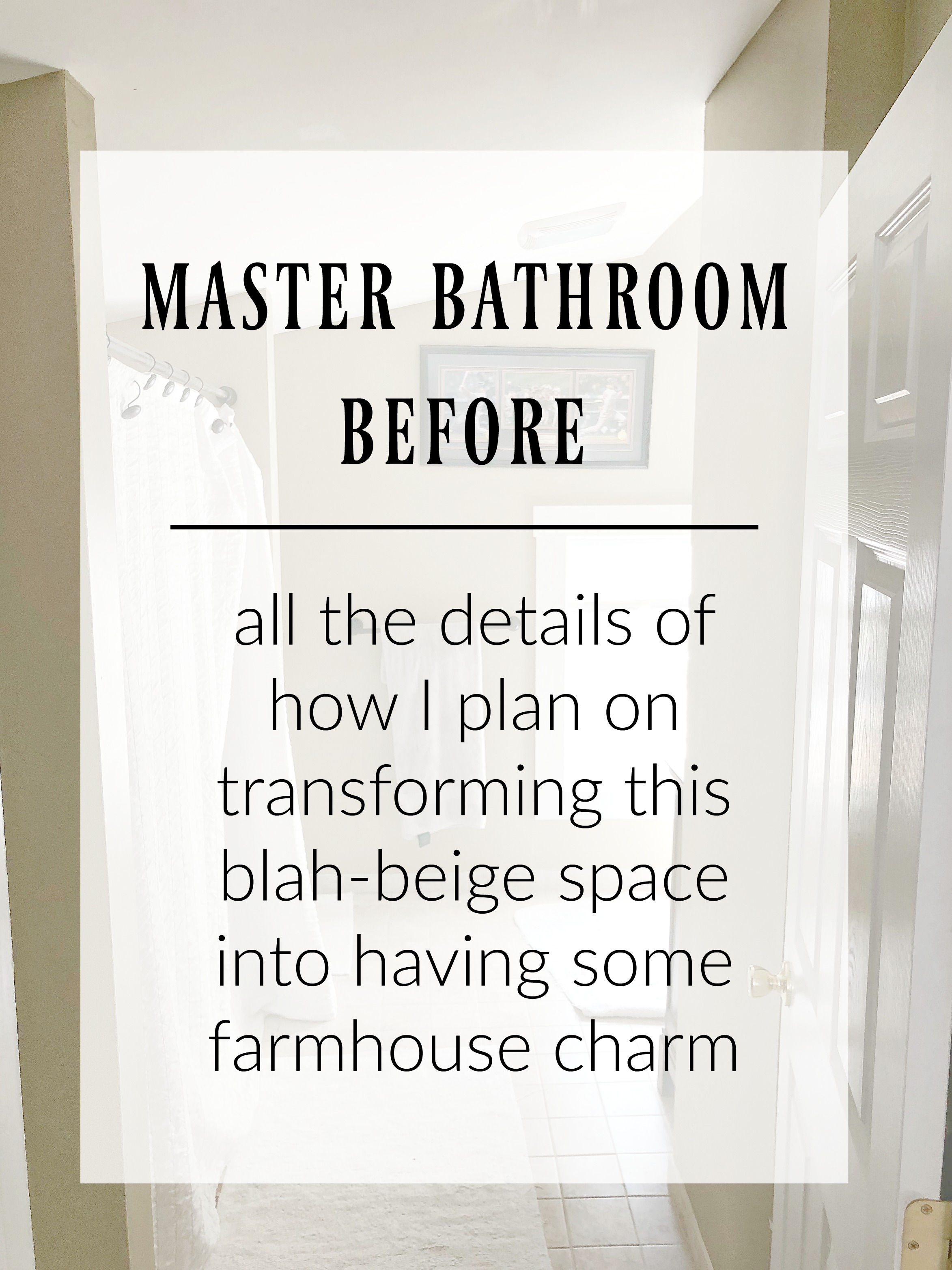 Master Bathroom Before