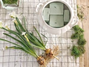 DIY Faux Potted Plants | Rooms FOR Rent Blog