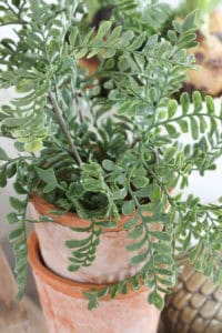 Spring Vignette {2018} | Rooms FOR Rent Blog