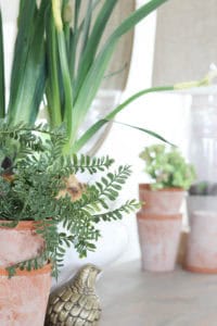 Spring Vignette {2018} | Rooms FOR Rent Blog