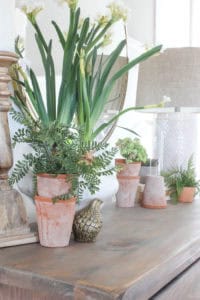 Spring Vignette {2018} | Rooms FOR Rent Blog