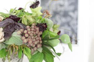 Knowing Your WHY | Rooms FOR Rent Blog