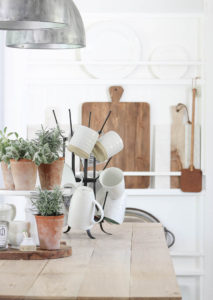 Summer Bugs & a GIVEAWAY | Rooms FOR Rent Blog