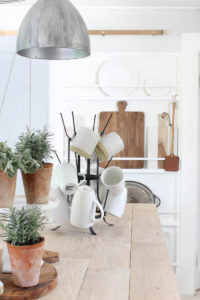 Summer Bugs & a GIVEAWAY | Rooms FOR Rent Blog