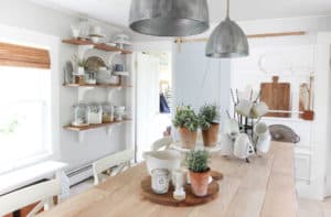 Summer Bugs & a GIVEAWAY | Rooms FOR Rent Blog