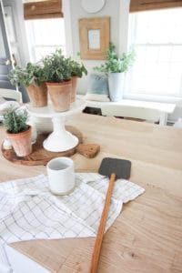 Summer Bugs & a GIVEAWAY | Rooms FOR Rent Blog