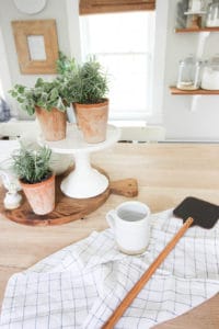 Summer Bugs & a GIVEAWAY | Rooms FOR Rent Blog