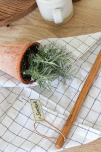 Summer Bugs & a GIVEAWAY | Rooms FOR Rent Blog