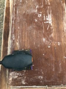 Nightstand Makeover | Rooms FOR Rent Blog