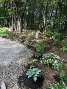 Easy Landscaping Border | Rooms FOR Rent Blog