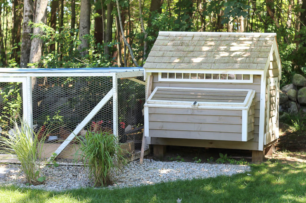 Our Chicken Coop | Rooms FOR Rent Blog