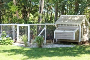Our Chicken Coop | Rooms FOR Rent Blog