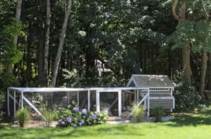 Our Chicken Coop | Rooms FOR Rent Blog