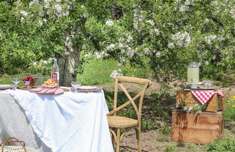 Picnic in an Apple Orchard - Rooms For Rent blog