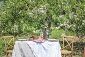 Picnic in an Apple Orchard | Rooms FOR Rent Blog
