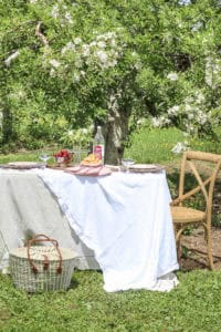 Picnic in an Apple Orchard | Rooms FOR Rent Blog
