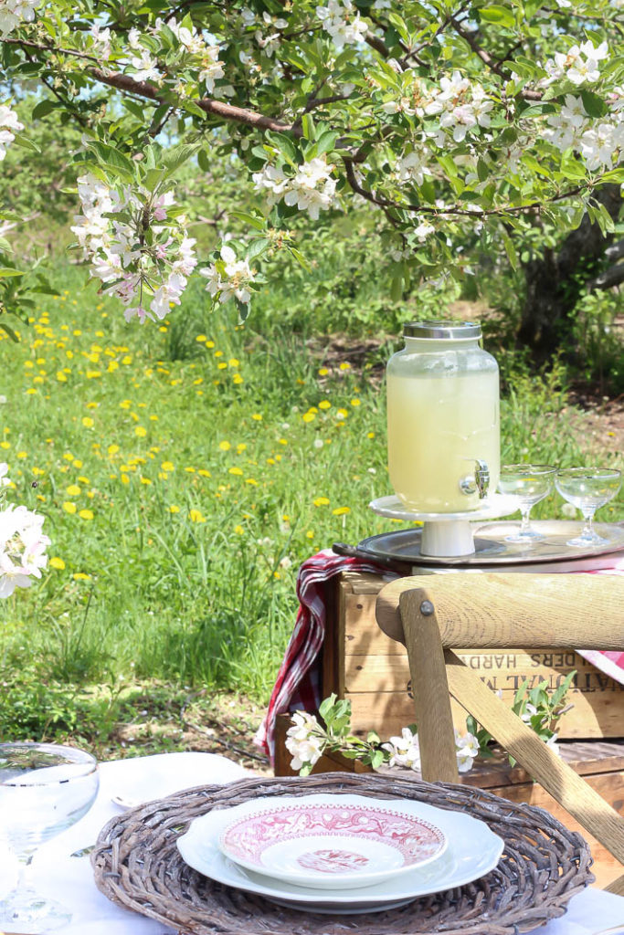 Picnic in an Apple Orchard | Rooms FOR Rent Blog