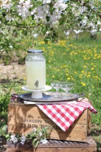 Picnic in an Apple Orchard | Rooms FOR Rent Blog