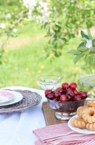 Picnic in an Apple Orchard | Rooms FOR Rent Blog