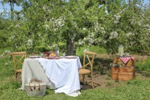 Picnic in an Apple Orchard | Rooms FOR Rent Blog