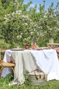 Picnic in an Apple Orchard | Rooms FOR Rent Blog