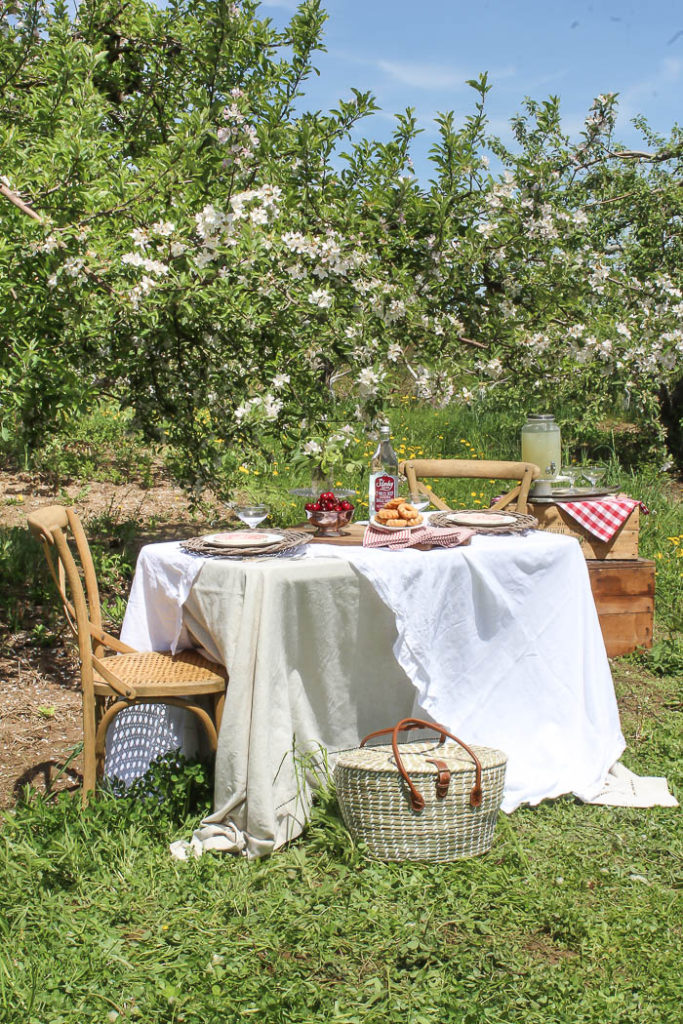 Picnic in an Apple Orchard | Rooms FOR Rent Blog