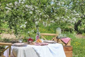 Picnic in an Apple Orchard | Rooms FOR Rent Blog