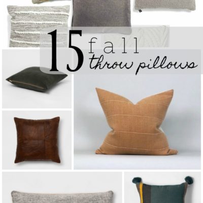 15 Must-Have Fall Throw Pillows