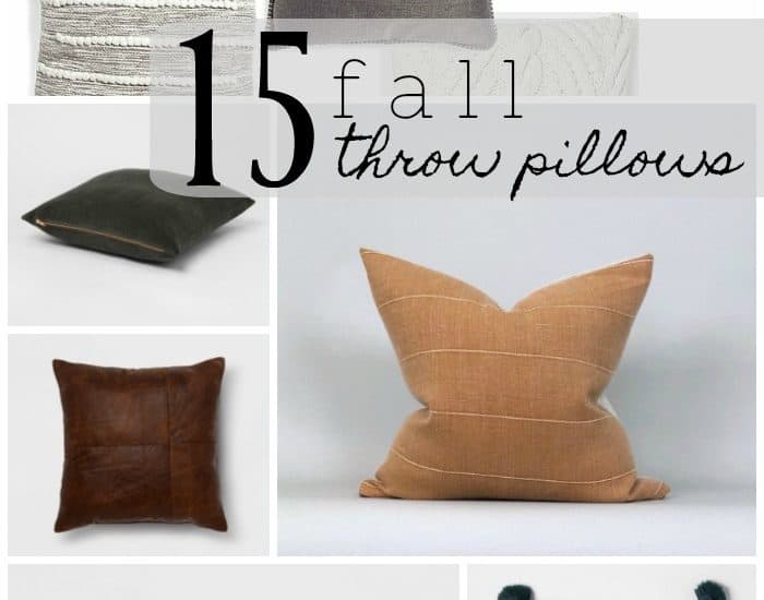 15 Must-Have Fall Throw Pillows | Rooms for Rent Blog