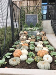 I'm Going To Waco | Rooms FOR Rent Blog